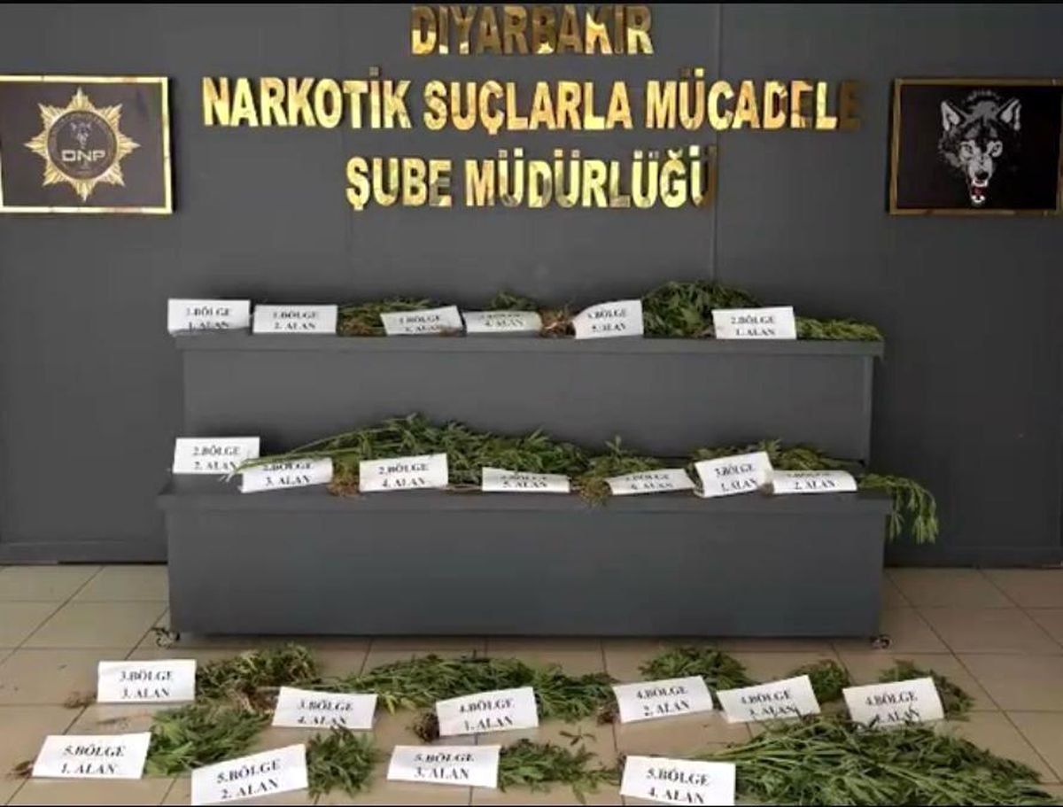UNESCO Mirası Hevsel Bahçeleri’nde Şok Operasyon!
