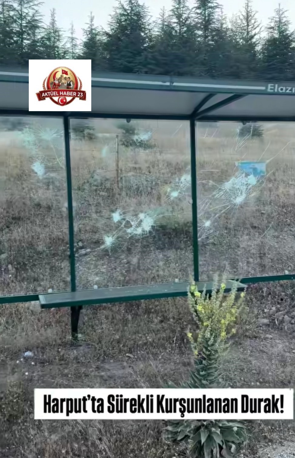 OTOBÜS DURAĞI HEDEF TAHTASI OLDU