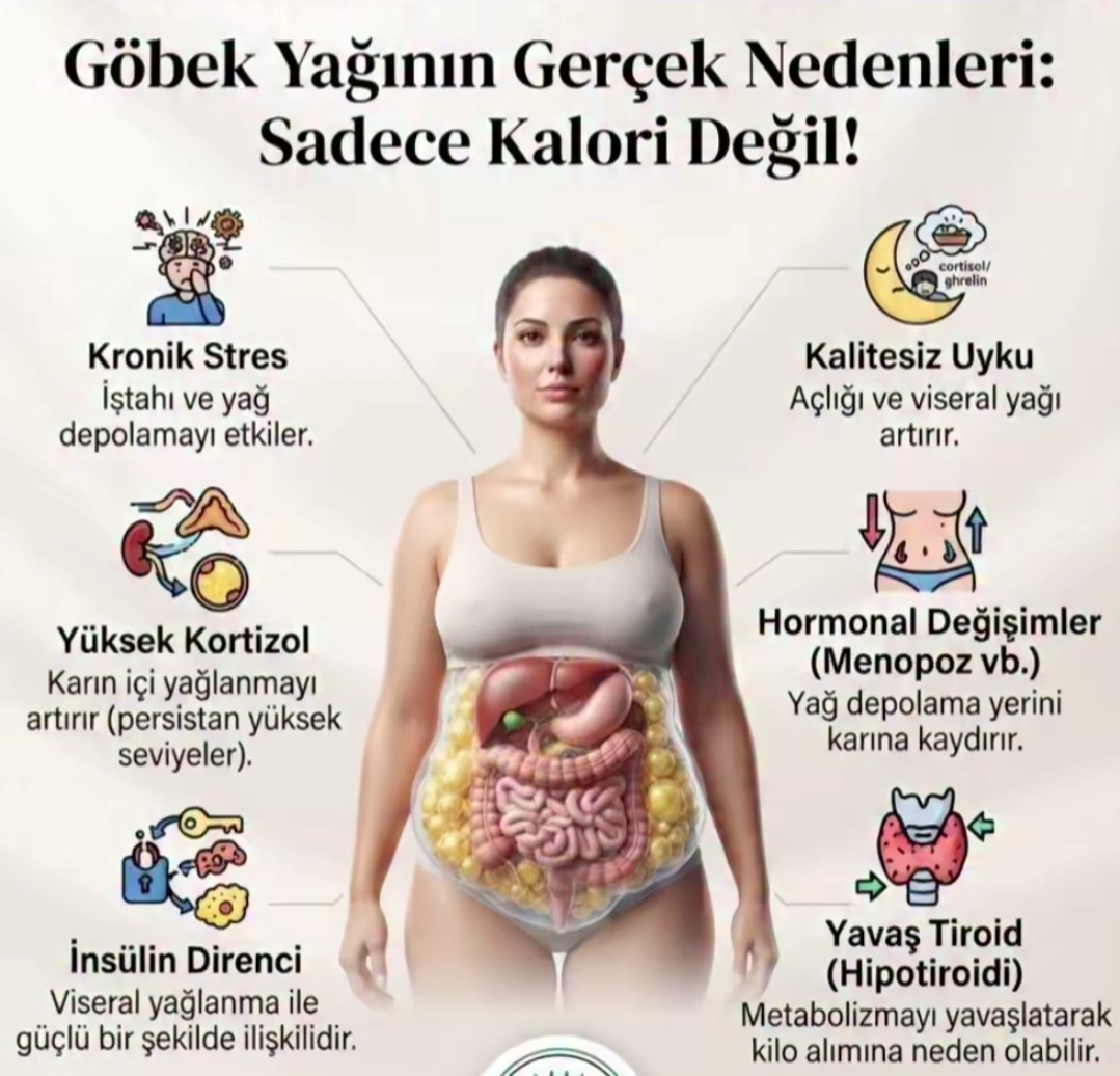 GÖBEK YAĞININ NEDENLERİ